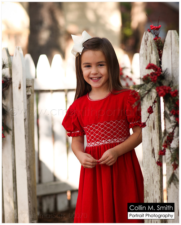 2011ChristmasSets_00070fb